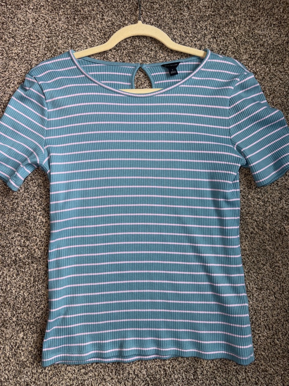 Ann Taylor Teal and Light Pink Striped Ribbed Short Sleeve Top